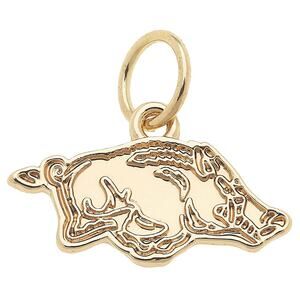Arkansas Razorbacks Shiny Gold Logo Charm Game Day Layering